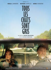 All Cats Are Grey Movie Poster