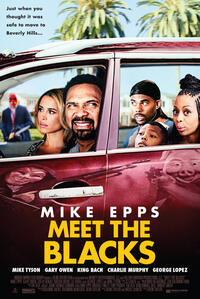 Meet the Blacks Movie Poster