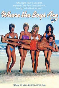 Where The Boys Are '84/The Beach Girls Movie Poster