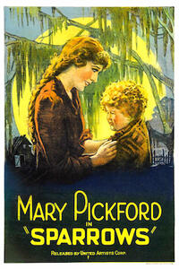 Sparrows/The Black Pirate Movie Poster