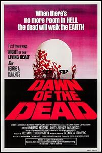 Dawn of the Dead 3D Movie Poster