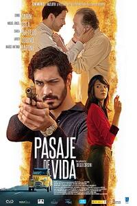 Safe Passage/The Future Perfect Movie Poster