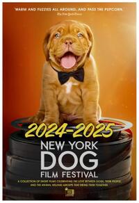 New York Dog Film Festival Movie Poster