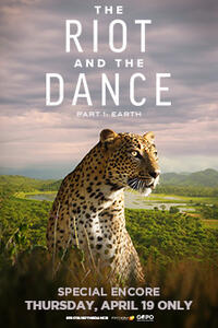 The Riot and the Dance Movie Poster