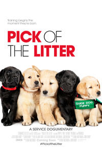 Pick of the Litter Movie Poster