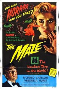 THE MAZE / CEASE FIRE Movie Poster