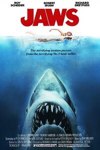 Double Feature: JAWS / HARD TICKET TO HAWAII Movie Poster