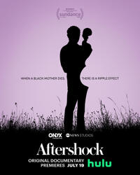 Aftershock (2022) Movie Poster