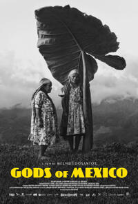 Gods of Mexico (2023) Movie Poster