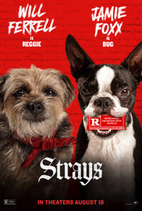 Strays (2023) Movie Poster