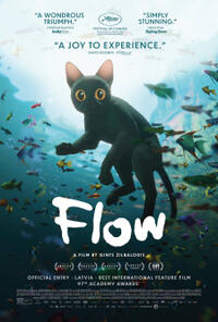 Flow 