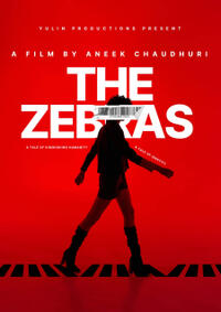 The Zebras: Dark Start (2024) Movie Poster