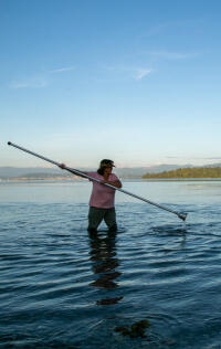 Scha'nexw Elhtal'nexw Salmon People: Preserving a Way of Life (2024) Movie Poster
