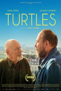 Turtles (2024) Movie Poster