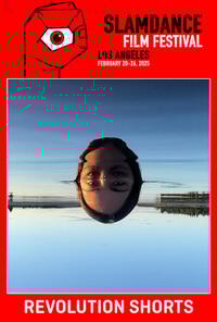 Slamdance Film Festival Presents Revolution Shorts Movie Poster