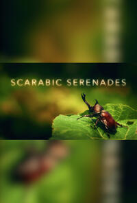 Scarabic Serenades: A Documentary Movie Poster