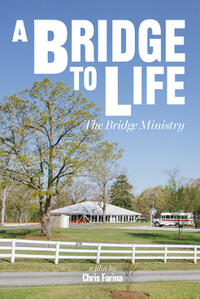 A Bridge to Life (2025) Movie Poster