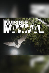 The Invisible Mammal (2025) Movie Poster