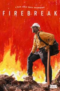 Firebreak (2024) Movie Poster