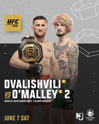 UFC 316: Dvalishvili vs. O'Malley 2 Movie Poster