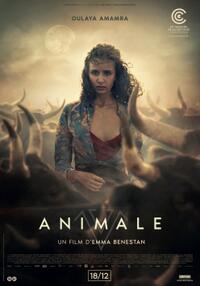 Animale (2024) Movie Poster