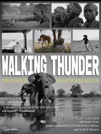 Walking Thunder: Ode to the African Elephant (2025) Movie Poster