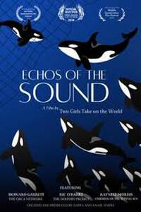 Echoes of the Sound: The Story of Hugo (2025) Movie Poster