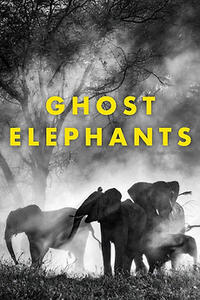 Ghost Elephants (2025) Movie Poster