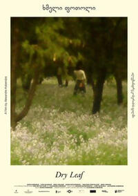 Dry Leaf (2025) Movie Poster