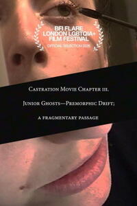 Castration Movie Chapter III: Junior Ghosts - Premorphic Drift; a Fragmentary Passage (2026) Movie Poster