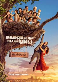 Father There is Only One 5 (2026) Movie Poster