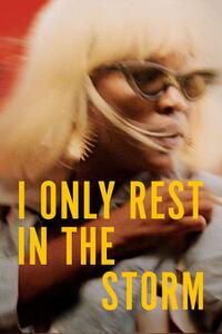 I Only Rest in the Storm Movie Poster