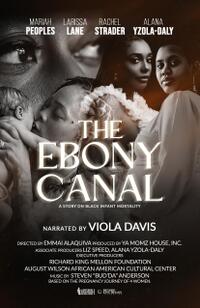The Ebony Canal: A Story of Black Infant Mortality Movie Poster