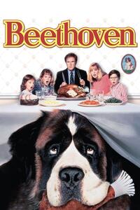 Beethoven Movie Poster