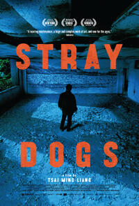 Stray Dogs (2013)