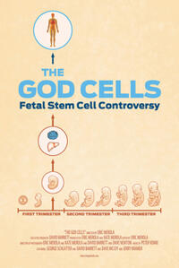 The God Cells