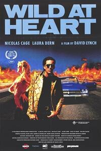 WILD AT HEART/BEYOND THE VALLEY OF THE DOLLS