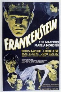 Double Feature: FRANKENSTEIN / BRIDE OF FRANKENSTEIN