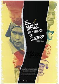 MAIZE IN TIMES OF WAR