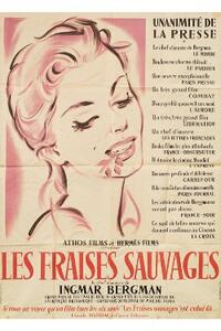 WILD STRAWBERRIES/A LESSON IN LOVE