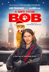 A Gift from Bob