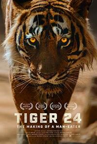 Tiger 24