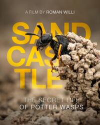 Double Feature: Fabulous Insects: Ants & Sandcastle: The Secret Life of Potter Wasps