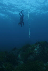 The Last Mermaids of Korea (2025)