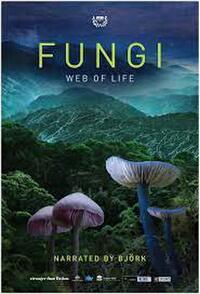 Double Feature: Fungi: Web of Life / Artificial Planet