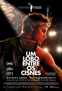 A Wolf Among Swans (Um Lobo Entre os Cisnes)