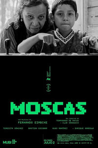 FLIES (Moscas)
