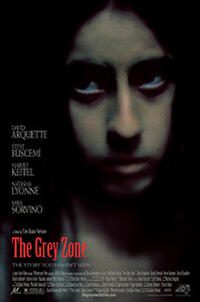 The Grey Zone