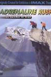 Adrenaline Rush: The Science of Risk