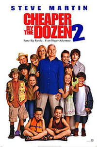 Cheaper by the Dozen 2